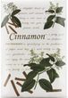 Cinnamon Ароматическое саше