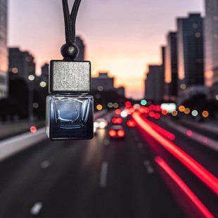 Ароматизатор автомобільний з ароматом Nightfall  фото