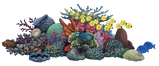 Кораловий риф АРОМАРІДИНА картинка