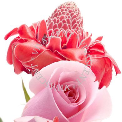 Ice Ginger Rose / Крижана імбирна троянда АРОМАРІДИНА фото