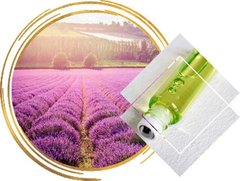 Lavender Fields / Лавандові поля АРОМАРІДИНА фото