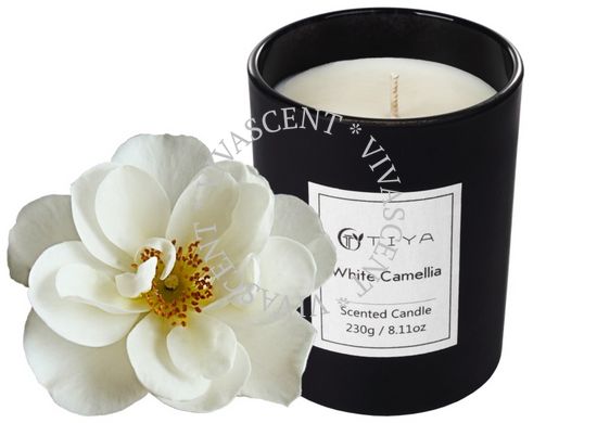 Свічка ароматична White Camellia фото