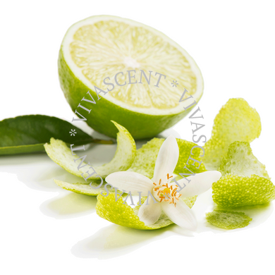 Lime Blossom / Квітучий лайм АРОМАРІДИНА фото
