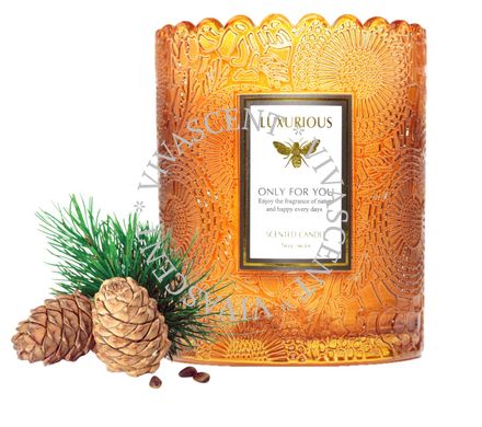 Свеча ароматическая Luxurious Baltic Amber фото