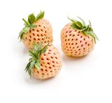 Strawberry Blanc / Полуниця Біла АРОМАРІДИНА картинка