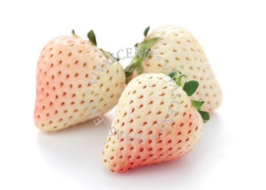 Strawberry Blanc / Клубника Белая АРОМАЖИДКОСТЬ фото