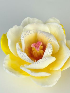 Ароматне мило White Camelia фото