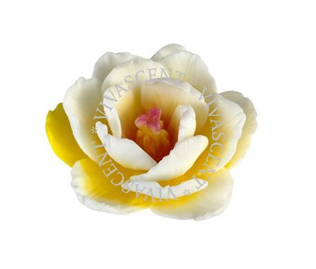 Ароматне мило White Camelia фото