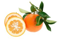 Orange Bitter / Апельсин гіркий АРОМАРІДИНА фото
