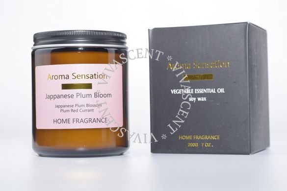 Свічка ароматична Aroma Sensation Japanese Plum Bloom фото