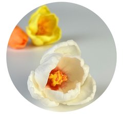 Ароматное мыло Tulip фото