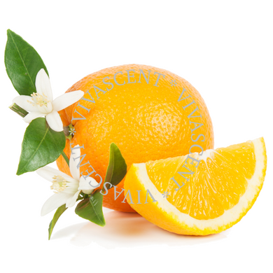 Citrus Blossom / Цитрусовый цветок АРОМАЖИДКОСТЬ фото