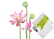 Lotus Flower / Квітка лотоса АРОМАРІДИНА - Ролер