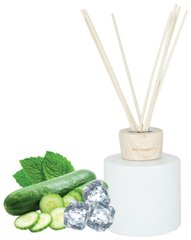 Аромадиффузор с тростниковыми палочками Cucumber Mint фото