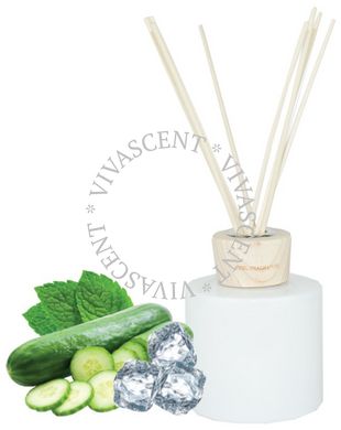 Аромадифузор з тростинними паличками Cucumber Mint фото