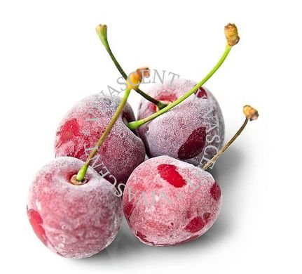 Ice Berry / Морозна ягода АРОМАРІДИНА фото