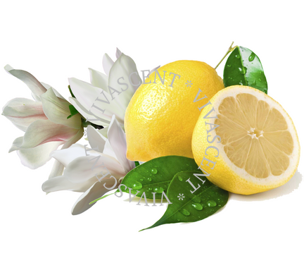Lemon Magnolia / Лимонная магнолия АРОМАЖИДКОСТЬ фото