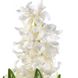 White Hyacinth / Білий гіацинт АРОМАРІДИНА, 10 мл