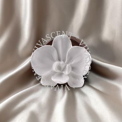 Аромадифузор керамічний White Flower & Wood ViVaScent фото