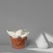 Аромадифузор керамічний White Flower & Wood ViVaScent
