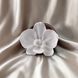 Аромадифузор керамічний White Flower & Wood ViVaScent