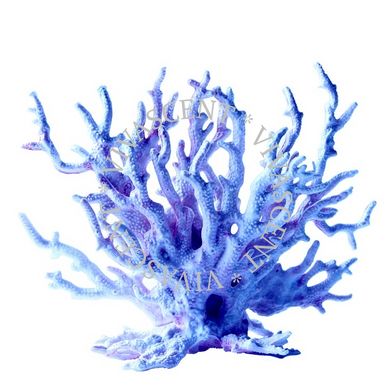 Blue Coral / Синий коралл АРОМАЖИДКОСТЬ фото