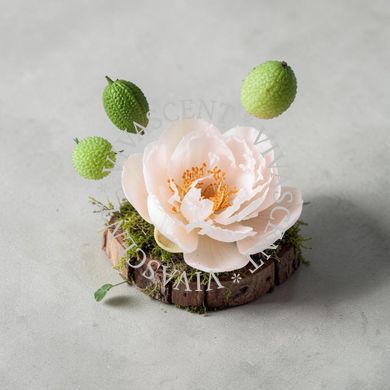 Fleur Narcotique АРОМАРІДИНА фото