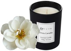 Свеча ароматическая White Camellia фото